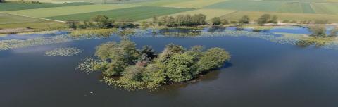Inkwilersee mit Insel